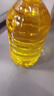 魯花【保真花生油】 食用油 5S 壓榨一級 花生油 5L 曬單實(shí)拍圖