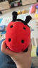 萌迪貓可愛(ài)七星瓢蟲(chóng)抱枕毛絨玩具昆蟲(chóng)玩偶布娃娃兒童生日禮物男孩女孩 七星瓢蟲(chóng)寶寶 13cm有掛繩 曬單實(shí)拍圖