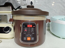 九陽(yáng)（Joyoung）電燉鍋電燉盅電砂鍋燉湯盅煲湯鍋多功能鍋紫砂鍋燕窩燉盅煮粥鍋直燉4L大容量 可預約保溫GD410 曬單實(shí)拍圖
