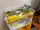 瘋狂水草浮萍魚(yú)缸造景水草植物直接入缸水培植物圓心萍一葉蓮源頭直發(fā)包郵 曬單實(shí)拍圖