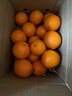鮮果部落江西橙子贛南臍橙新鮮水果贛州臍橙手剝甜橙禮盒 整箱10斤【單果140g+】——凈重9斤 曬單實(shí)拍圖