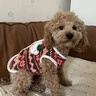 嬉皮狗（hipidog）過(guò)年喜慶狗狗衣服立體小熊圣誕針織衫泰迪比熊小型犬貓咪寵物毛衣 德羅紅 M 建議體重5-8斤 曬單實(shí)拍圖
