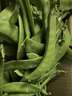 荷蘭豆新鮮蔬菜青豌豆甜脆豌豆苗四季豆扁豆當季時(shí)令新鮮蔬菜 云南新鮮荷蘭豆帶箱4斤【農家自種】?jì)糁?.7斤 曬單實(shí)拍圖