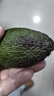 進(jìn)口哈斯牛油果鱷梨新鮮水果現貨包郵 100-130克2個(gè) 曬單實(shí)拍圖