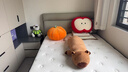 物枕居 北歐現代簡(jiǎn)約ins風(fēng)小南瓜可愛(ài)抱枕靠墊沙發(fā)客廳飄窗網(wǎng)紅輕奢床頭 橘色南瓜抱枕 55cm(送18CM) 曬單實(shí)拍圖