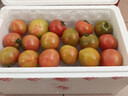 京鮮生&魯盛農業(yè)草莓番茄禮盒凈重4.5斤單果60g水果鐵皮西紅柿源頭直發(fā) 曬單實(shí)拍圖