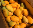 爾蝶海南小臺農芒果10斤新鮮小臺芒當季熱帶水果現摘甜心小芒果整箱 精選大果 單果90-120g-熱賣(mài)爆甜 精選5斤裝 凈重4.5斤 曬單實(shí)拍圖