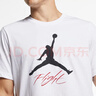 Jordan男子喬丹 棉透氣 飛人Logo 短袖T恤AO0665-100白色L 曬單實(shí)拍圖