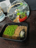 瘋狂水草魚(yú)缸造景擺件莫斯植物爬地矮珍珠日本趴地增氧高珍珠水草 （新手濃密草坪）爬地矮珍1片（約8*8cm） 曬單實(shí)拍圖