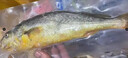弘品匯【現貨】舟山海鮮禮盒 凈重9.4斤 深水大黃魚(yú)大號帶魚(yú)竹節蝦墨魚(yú)等年貨送禮品 源頭直發(fā) 曬單實(shí)拍圖