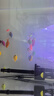 【順豐快速發(fā)貨】3-5CM彩色天使魚(yú) 群游觀(guān)賞魚(yú)淡水活體小型魚(yú)好養 七色(翡翠/藍/紅/黃/粉/綠/紫) 12條+2條備損(七色各2條)3-5CM大號 曬單實(shí)拍圖