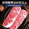 澳牛日記 澳洲和牛M9羽下肉牛排 凈重500g 上腦邊原切牛排進(jìn)口生鮮雪花 曬單實(shí)拍圖