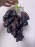 戀巧金手指葡萄 藍寶石黑加倫提子無(wú)籽葡萄新鮮孕婦水果團購送禮禮盒 2斤品質(zhì)果【精選無(wú)禮盒】 曬單實(shí)拍圖