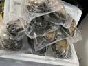金唐3-4頭鮮凍大鮑魚(yú)禮盒3斤9-12只 帶殼鮑魚(yú)肉貝類(lèi)海鮮火鍋食材 曬單實(shí)拍圖