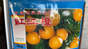 【順豐包郵】湛江特產(chǎn)正宗廉江紅江橙紅橙紅江農場(chǎng)皮薄橙子禮盒 10斤紅江橙【特級果】送禮必選 曬單實(shí)拍圖
