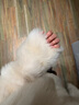 付智恩 治愈愛(ài)神 松弛感基礎休閑立領(lǐng)短款托斯卡納直毛皮毛一體冬 白色 治愈愛(ài)神 S 曬單實(shí)拍圖