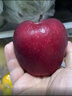 優(yōu)味集花牛蘋(píng)果水果新鮮甘肅高原紅蛇粉面蘋(píng)果嬰兒輔食禮盒圣誕平安果 5斤凈重 嚴選大果（單果200g+） 曬單實(shí)拍圖
