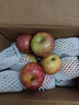 探味君 正宗大涼山丑蘋(píng)果 當季時(shí)令新鮮水果四川冰糖心蘋(píng)果紅富士 生鮮 凈重4.5-5斤 單果60mm-65mm（迷你果） 曬單實(shí)拍圖