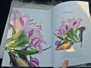 預訂 The Botanical Shoes: A Collection of Botanical Shoe Paintings in Watercolour and Words: 978180 曬單實(shí)拍圖