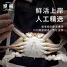 【冷凍】至鮮梭子蟹2.6斤/6-8只整只當季液氮冷凍3-5兩/只呂四黃海海鮮螃蟹新鮮年貨禮 曬單實(shí)拍圖