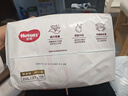 好奇（Huggies）鉑金裝小桃褲成長(cháng)褲XXL74片(15kg以上)尿不濕【透爽散熱】 曬單實(shí)拍圖