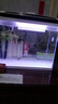 長(cháng)銳魚(yú)缸一體缸自循環(huán)免換水家用客廳桌面小型金魚(yú)缸超白玻璃養魚(yú)缸 超白CRV380標準款 曬單實(shí)拍圖