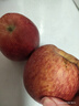 甘肅天水花牛蘋(píng)果粉面香甜蘋(píng)果產(chǎn)地直發(fā)新鮮水果包郵 帶箱5.5斤凈重4.5斤小果70-75mm 曬單實(shí)拍圖