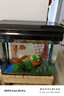 西龍中大魚(yú)缸客廳家用落地懶人生態(tài)免換水帶柜子一體自循環(huán)金魚(yú)水族箱 60CM魚(yú)缸+造景 曬單實(shí)拍圖