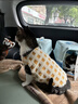 ZEZE華夫餅冬季保暖寵物衣服格紋貓咪背心棉襖狗狗小型犬冬天馬甲 曬單實(shí)拍圖