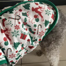 嬉皮狗（hipidog）秋冬季小狗衣服小餅人馬甲圣誕節保暖開(kāi)衫泰迪比熊小型犬寵物衣服 蒂安綠小餅人（可牽引） M M(建議體重5-8斤) 曬單實(shí)拍圖