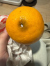 泰匯吃四川春見(jiàn)耙耙柑新鮮水果整箱孕婦橘子時(shí)令柑橘 凈重4.5斤精選【70-75MM】 曬單實(shí)拍圖
