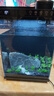 京東京造智能生態(tài)魚(yú)缸PRO家用客廳免換水自循環(huán)投喂過(guò)濾一體桌面小魚(yú)缸黑 曬單實(shí)拍圖