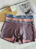 貓人（MiiOW）【尊奢典藏禮盒】男士?jì)妊澞袩o(wú)痕AB面冰絲平角7A抗菌養護四角短褲 【尊奢典藏禮盒】沙漠杏棕+熔巖碳橘+云?；宜{ L （建議90-120斤） 曬單實(shí)拍圖