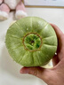 鮮美驚綠寶甜瓜當季新鮮時(shí)令綠寶石香瓜甜脆瓜孕婦兒童水果現摘現發(fā)整箱 3斤 精選果 【實(shí)惠無(wú)禮盒】 曬單實(shí)拍圖
