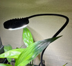 三思京東集采JC系列植物補光燈仿太陽(yáng)全光譜 全光譜植物燈盆夾燈-12W 曬單實(shí)拍圖