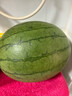 藤上熟吊秧小西瓜1粒1.5kg 曬單實(shí)拍圖