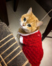 小貓貓咪衣服新春過(guò)年衣服加厚保暖加絨寵物布偶馬甲背心防冬季款 紅保暖款 XL胸圍45cm10-15斤） 曬單實(shí)拍圖