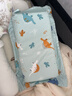 水星兒童（MERCURY Kids）幼兒園全棉抗菌對枕套(湖水綠/遠古龍)30cm×50cm 嬰幼兒A類(lèi) 曬單實(shí)拍圖