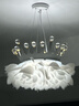 大觀(guān)園（DGY）奶油風(fēng)臥室吊燈法式餐廳燈創(chuàng  )意皇冠花朵主臥房間吊燈中山燈具194O 1701-白色-53CM-無(wú)極-全光譜 曬單實(shí)拍圖