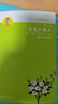 金波作品精選：追蹤小綠人三部曲（套裝3冊）/金波經(jīng)典童話(huà)三部曲，用天馬行空的豐富想象，講述自然與生命的神奇。暑假作業(yè) 一升二暑假銜接 小升初暑假銜接  曬單實(shí)拍圖