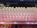 惠普（HP）GK200機械鍵盤(pán)有線(xiàn)辦公游戲鍵盤(pán) 20種背光燈效 87鍵電競鍵盤(pán)鼠標套裝電腦外設鍵鼠 側刻漸變粉【茶軸】白光 曬單實(shí)拍圖