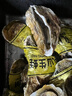 正宗鮮活乳山特大生態(tài)生蠔王新鮮海蠣子牡蠣肉質(zhì)肥美海鮮水產(chǎn)生鮮 帶箱10斤6XL（16-20個(gè)）【特大蠔】 曬單實(shí)拍圖