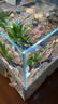 YEE魚(yú)缸金晶超白金魚(yú)裸缸8060家用客廳桌面小草缸龜缸玻璃生態(tài)溪流缸 【送上樓】80*40*40cm*8mm金晶超白 曬單實(shí)拍圖