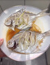 青島海捕銀鯧魚(yú)2條/斤特大白鯧扁魚(yú)平魚(yú)海魚(yú)鯧魚(yú)生鮮魚(yú)類(lèi)海鮮水產(chǎn) 200-300g/條（2斤裝4條） 曬單實(shí)拍圖