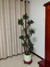 愛(ài)優(yōu)尚特級造型鴨腳木客廳大盆栽八方來(lái)財室內落地大型綠植高端源頭直發(fā) 曬單實(shí)拍圖