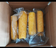 北緯媽咪黃糯玉米3.2斤（200g*8根）東北鮮甜糯玉米 黏粘玉米棒真空包裝 曬單實(shí)拍圖