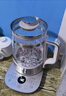 九陽(yáng)（Joyoung）1.5L全玻璃沸萃養生壺煮茶器 0膠水玻璃濾網(wǎng)燉盅 花茶壺燒水保溫一體全自動(dòng)恒溫電熱水壺15WY10J 曬單實(shí)拍圖