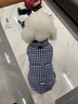 湯尼熊 TAWNEYBEAR狗狗衣服羽絨服馬甲秋冬外套寵物雪納瑞約克臘腸泰迪比熊博美柴犬 羽絨馬甲【藍色格紋】 L丨背長(cháng)33胸圍48建議8-14斤 曬單實(shí)拍圖