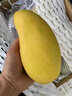 【順豐包郵】海南金煌芒果禮盒海南芒果凈重 8斤裝 新鮮芒果直發(fā) 海南金煌芒禮盒 8斤(11-15個(gè)) 曬單實(shí)拍圖