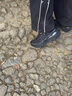 KAILAS FUGA凱樂(lè )石FUGA EX3 BOA低幫越野跑山鞋透氣輕量抓地緩震跑步鞋男款 曬單實(shí)拍圖
